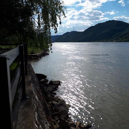 Villa Dedin Raj Golubac Exterior foto