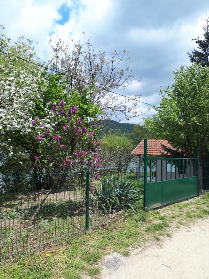 Villa Dedin Raj Golubac Exterior foto