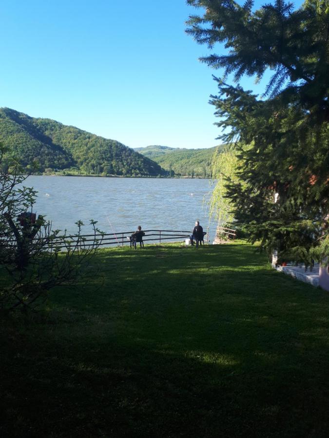 Villa Dedin Raj Golubac Exterior foto