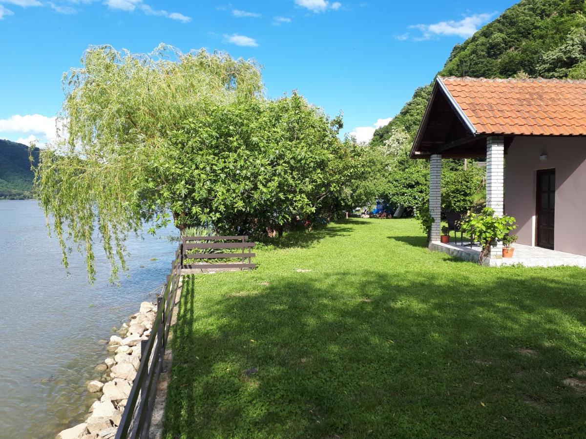 Villa Dedin Raj Golubac Exterior foto
