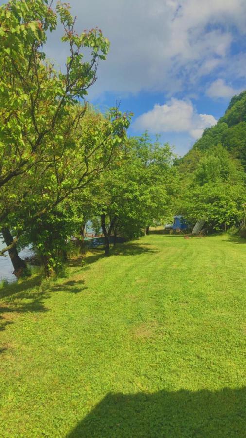 Villa Dedin Raj Golubac Exterior foto