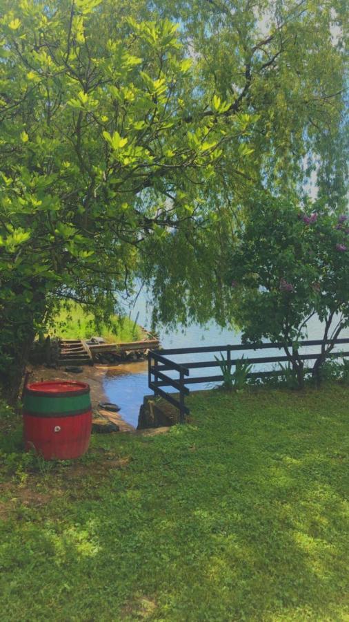 Villa Dedin Raj Golubac Exterior foto