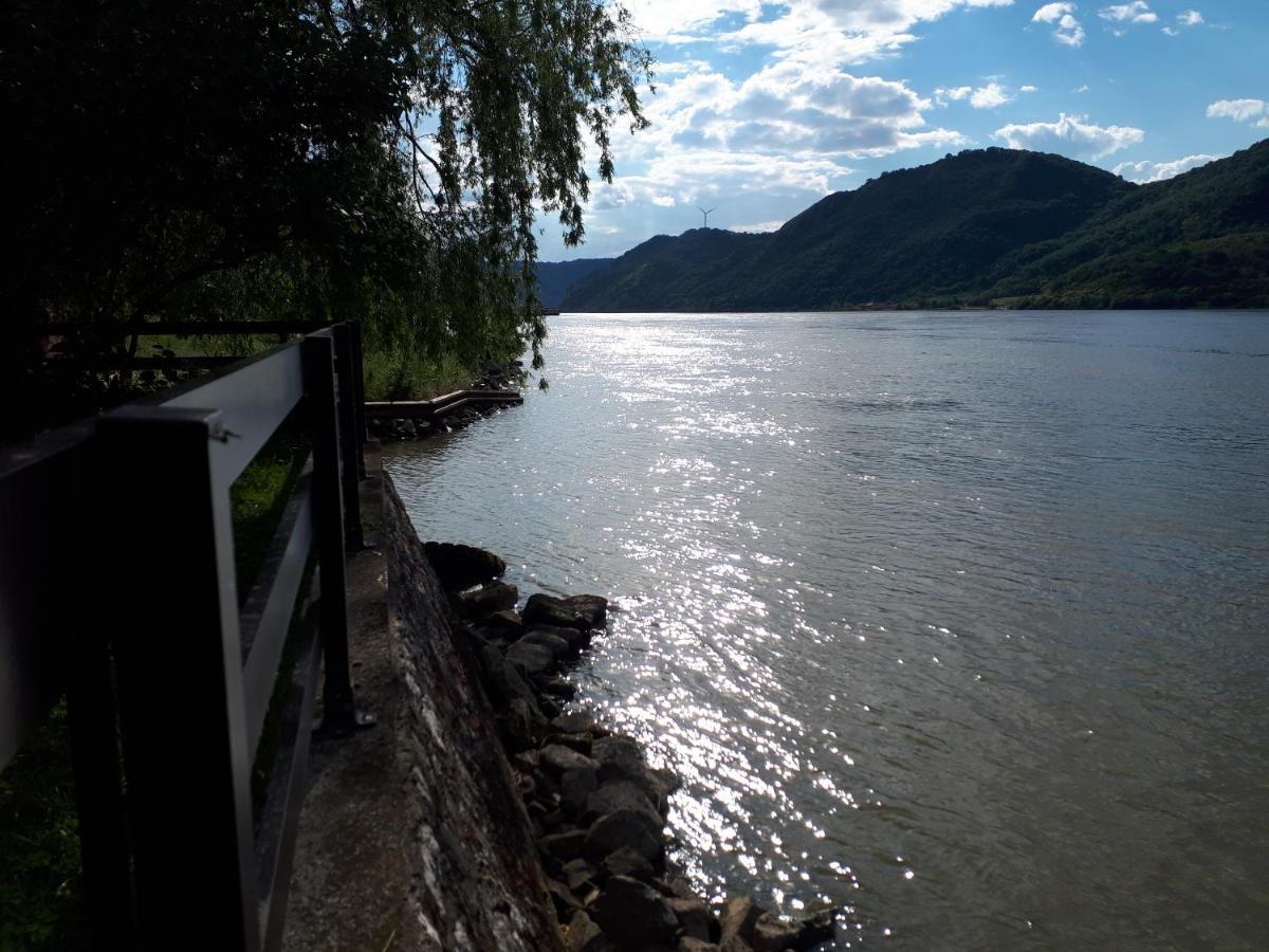 Villa Dedin Raj Golubac Exterior foto